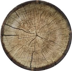 Kutahya Porselein Nano Krem Serviesset (24 Delig) 6 Personen - NNTS24Y2894010 -Woonkeuken Winkel 1200x1197 7