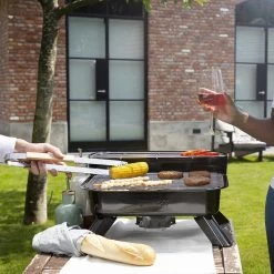 Princess 112252 Hybride Barbecue – Elektrische BBQ - Tafelmodel - 2000W - 44x 29cm - Gebruik Elektrisch Of Met Kolen -Woonkeuken Winkel 1200x1200 1022