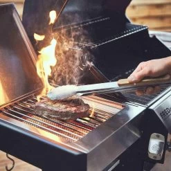 Burnhard Gas BBQ FRED JR. Deluxe - 2 Branders - Incl. Keramische Infraroodbrander & Afdekhoes - Deluxe 26 Burnhard Gas BBQ FRED JR. Deluxe - 2 Branders - Incl. Keramische Infraroodbrander & Afdekhoes - Deluxe -Woonkeuken Winkel 1200x1200 1029