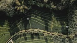 Sola Bestekset Bali - Modern - 9 Persoons - 90 Delig - Zilverwit Edelstaal 18/10 - RVS - Zilver -Woonkeuken Winkel 1200x675 12