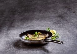 BK Allround Koekenpan Ø 24 Cm - Inductie - PFAS-vrij -Woonkeuken Winkel 1200x851