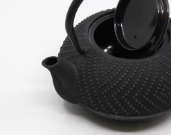 Bredemeijer - Theepot Fujian 1.2L Met Filter 22 Bredemeijer - Theepot Fujian 1.2L Met Filter -Woonkeuken Winkel 1200x945 4