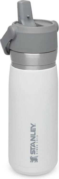 Stanley The IceFlow™ Flip Straw Water Bottle 0,65L - Thermosfles - Lagoon -Woonkeuken Winkel 396x1200 1